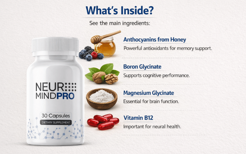 Illustrative infographic of neuronal support